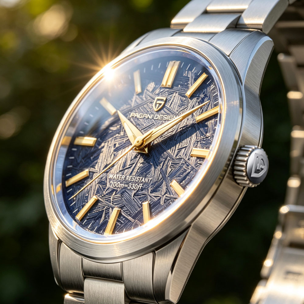 Men Accessories Jewelry - PAGANI DESIGN 40MM Men Quartz Watch