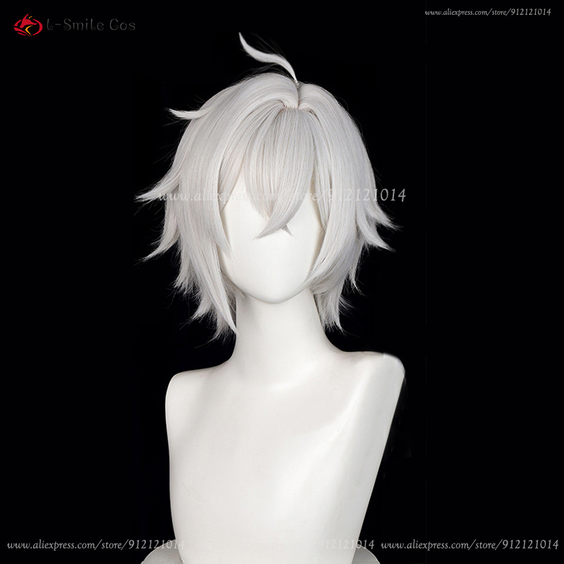 ZZZ Seth Lowell Cosplay Wig 30 - Men Accessories In Silver recension och pris