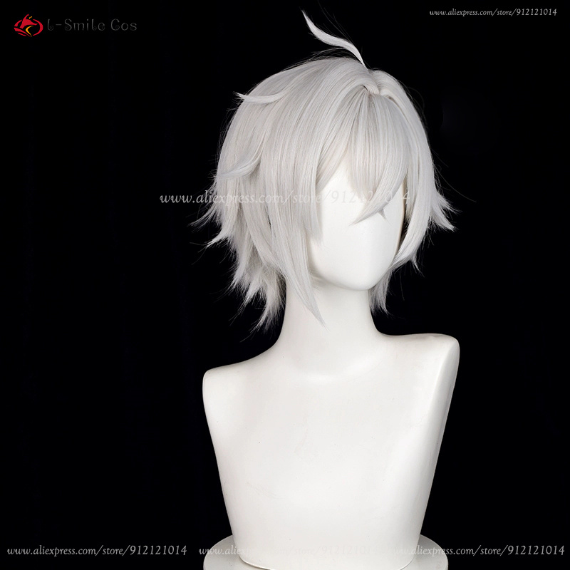 ZZZ Seth Lowell Cosplay Wig 30 - Men Accessories In Silver recension och pris